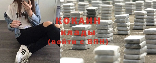 молекула духа Кулебаки
