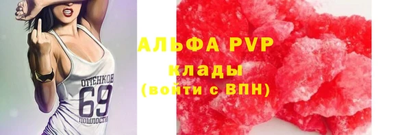 a pvp Аркадак