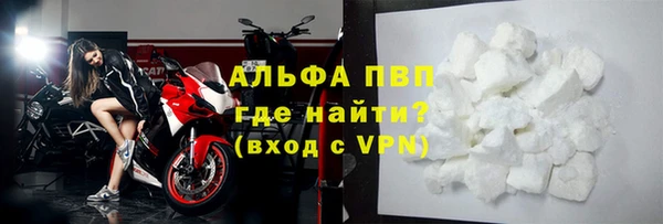 ГАЛЛЮЦИНОГЕННЫЕ ГРИБЫ Кукмор