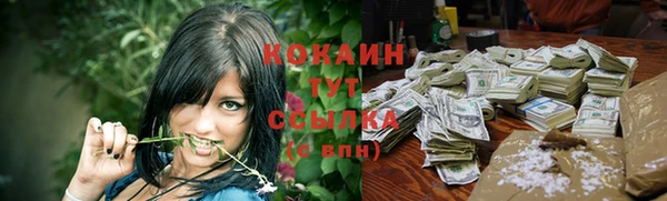 герыч Арсеньев