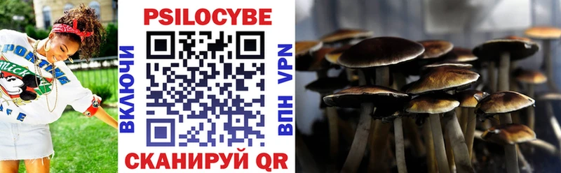 где найти   Гдов  ссылка на мегу как войти  Галлюциногенные грибы Magic Shrooms 